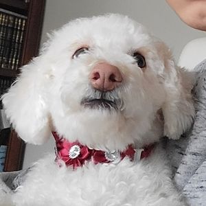 Meet your Posher, Elior